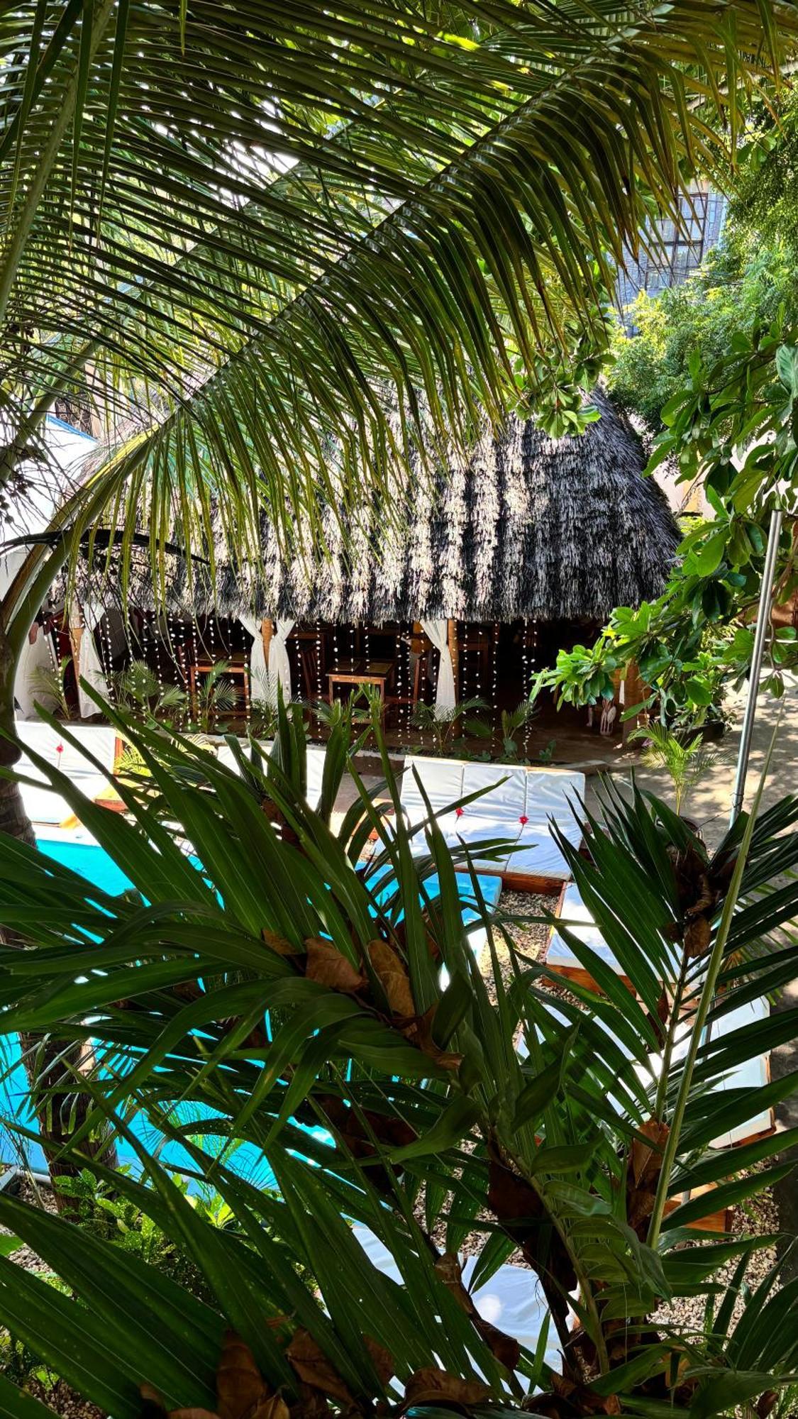 Kilimanjaro Bed & Breakfast *