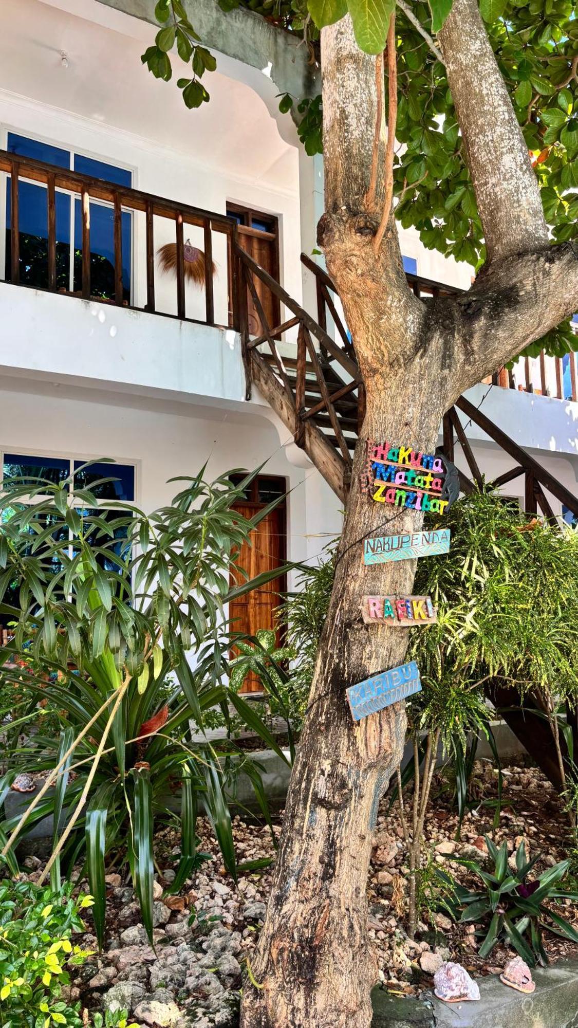 Kilimanjaro Bed & Breakfast Nungwi